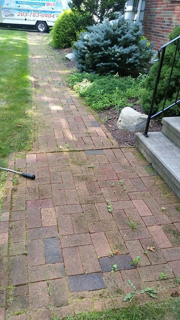 Fence cleaning — clean fence after power washing